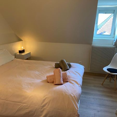 Les Moulins Tres Agreable Et Idealement Situe Apartment กอลมาร์ ภายนอก รูปภาพ