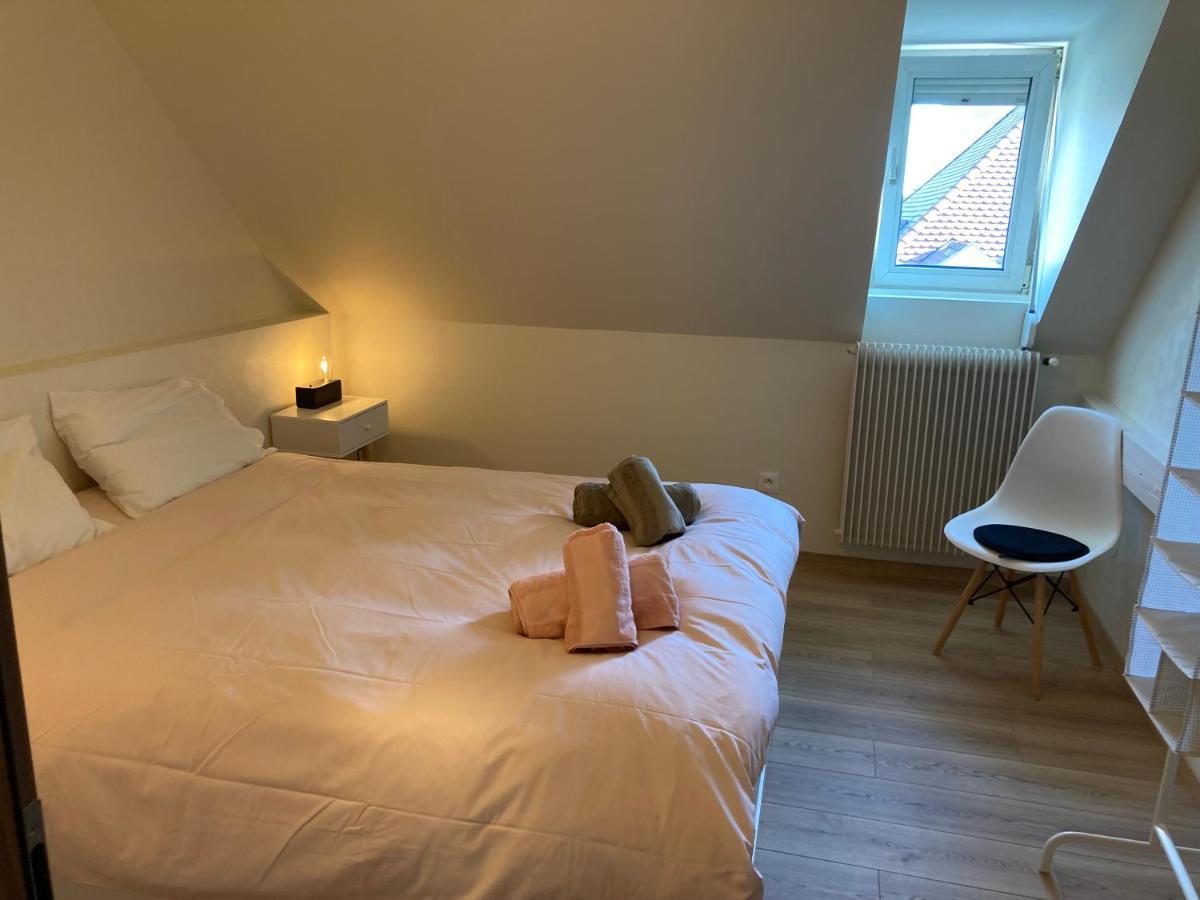 Les Moulins Tres Agreable Et Idealement Situe Apartment กอลมาร์ ภายนอก รูปภาพ