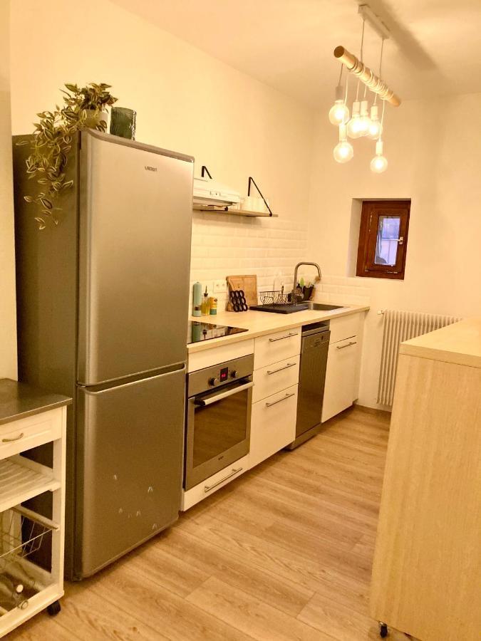 Les Moulins Tres Agreable Et Idealement Situe Apartment กอลมาร์ ภายนอก รูปภาพ