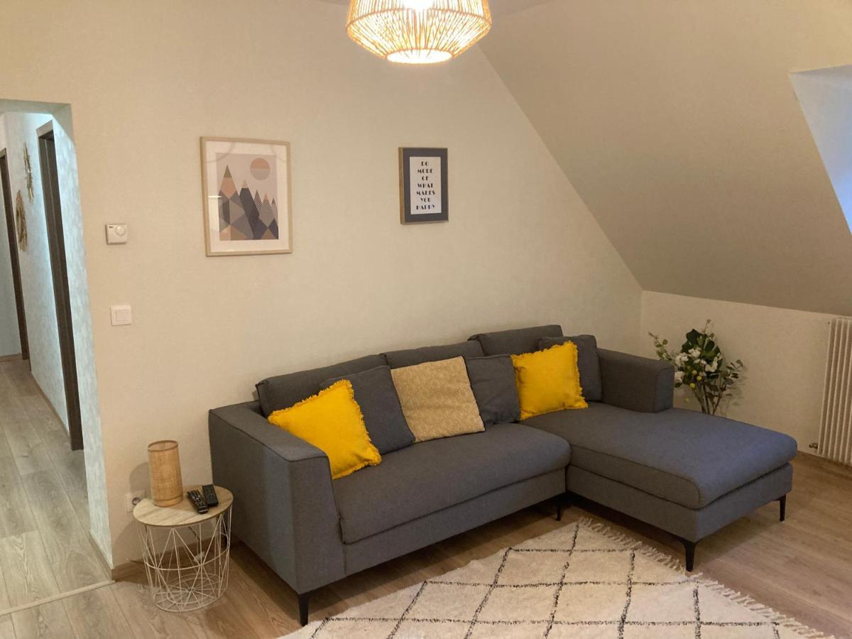 Les Moulins Tres Agreable Et Idealement Situe Apartment กอลมาร์ ภายนอก รูปภาพ